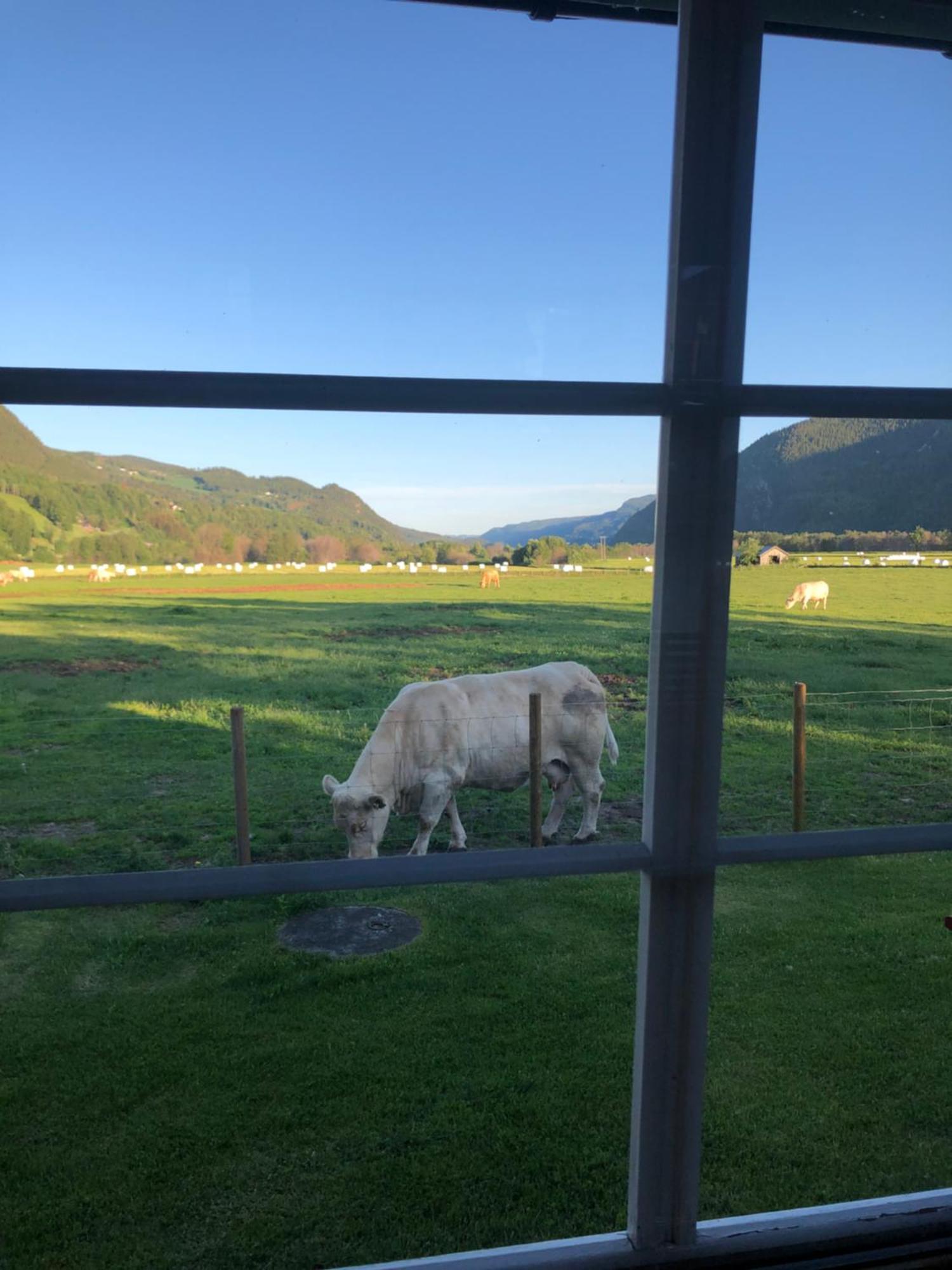 Villa Soltun Ringebu Esterno foto
