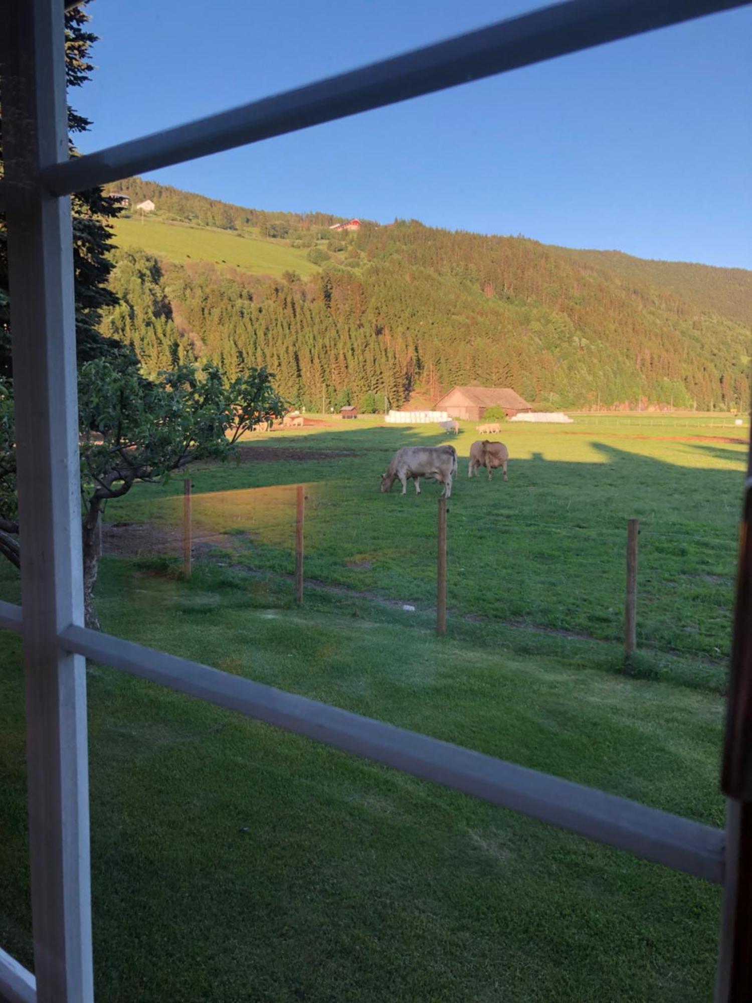 Villa Soltun Ringebu Esterno foto